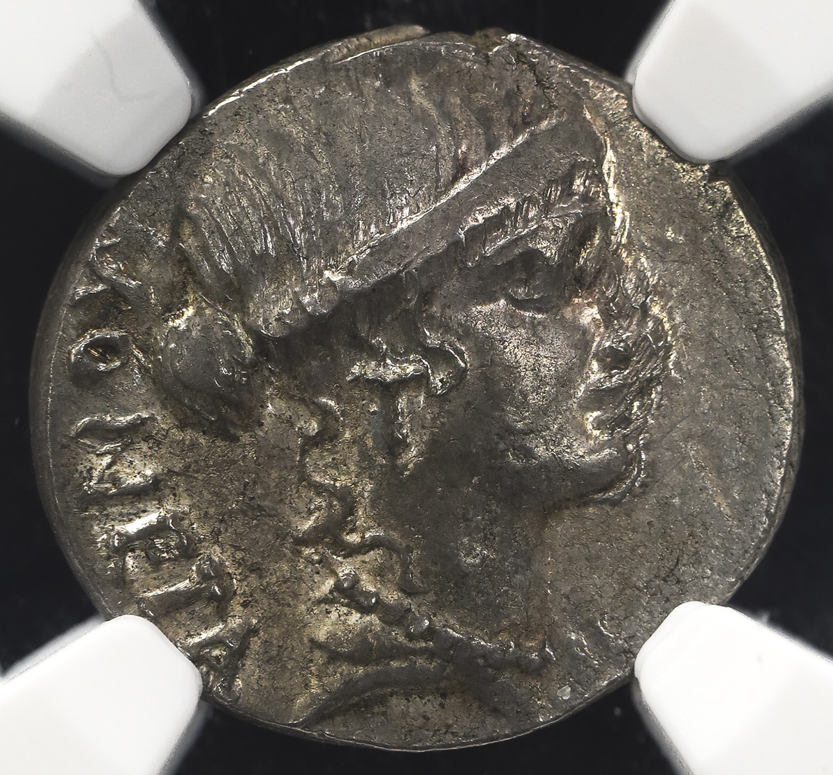 钱币博物馆 Roman Republic 共和政ローマar Denarius T Carisius 46bc Au